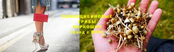 каннабис Аркадак