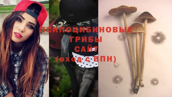 mix Арсеньев