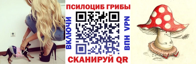 hydra вход  Боровичи  Псилоцибиновые грибы Cubensis 